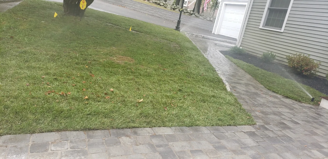 Sprinkler running on new sod beside paver walkway